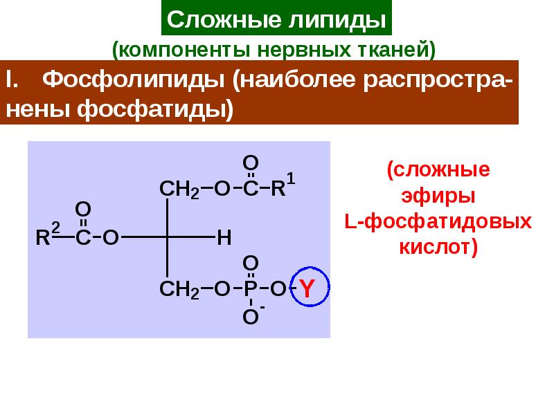 Липиды омыляемые презентация