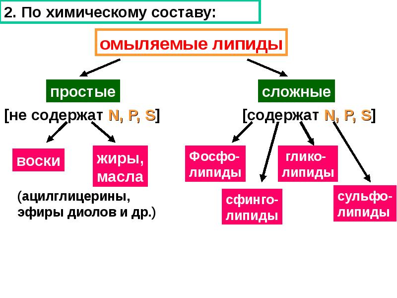 Вещества липидов