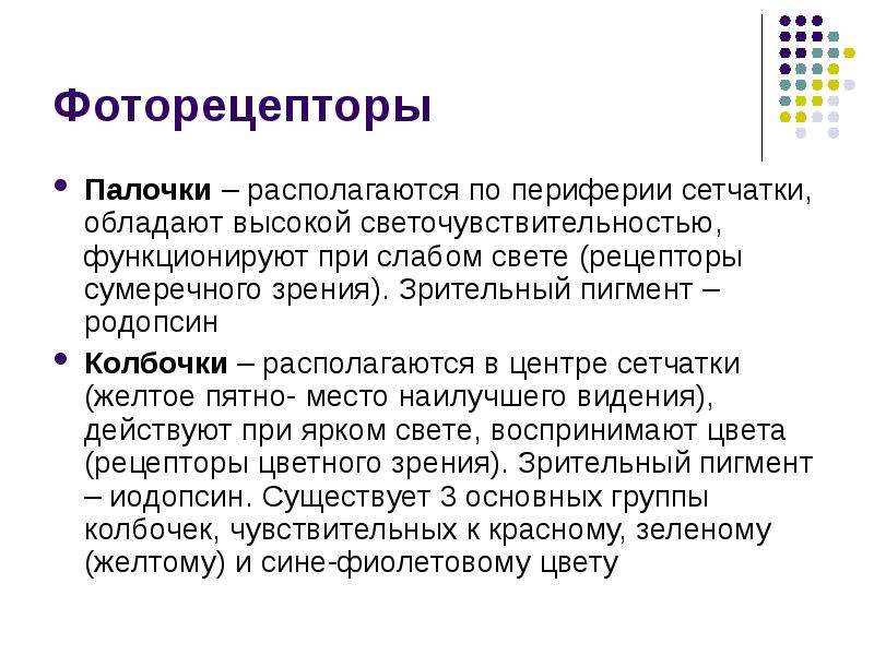 Зрительный пигмент йодопсин. Палочки и колбочки характеристика. Особенности фоторецепторов. Сравнительная характеристика фоторецепторов.