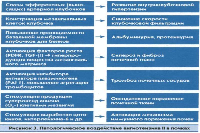 Фармакотерапия хронической. Аспекты фармакотерапии кот нельзя обсуждать.com с пациентами.