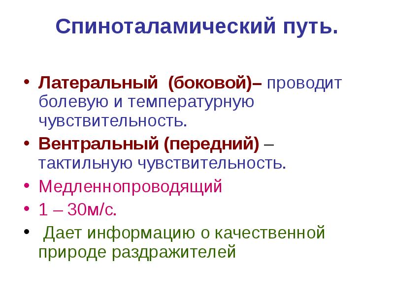 Латеральный спиноталамический путь схема