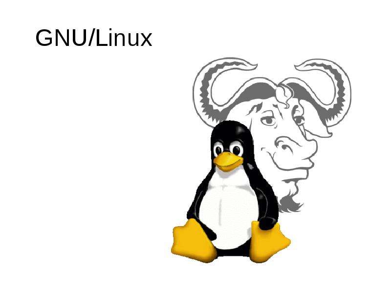 Gnu linux. GNU Операционная система. Фото GNU Linux. Гну линукс.