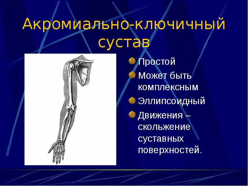 Описание суставов. Акромиально-ключичный сустав функции. Описание акромиально ключичного сустава. Акромиально-ключичный сустав оси движения. Акромиально ключичный сустав по функции.