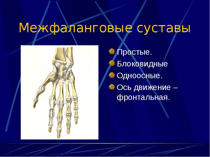 Оси движения суставов