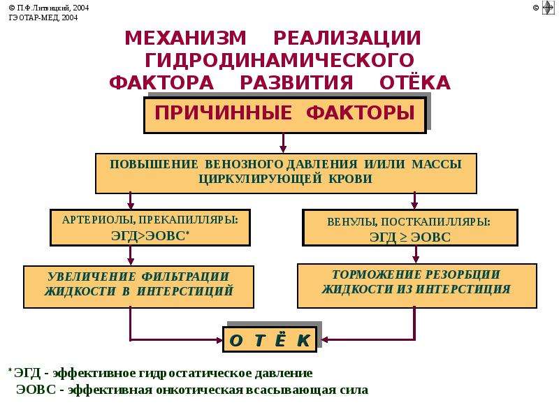 Минеральный обмен презентация