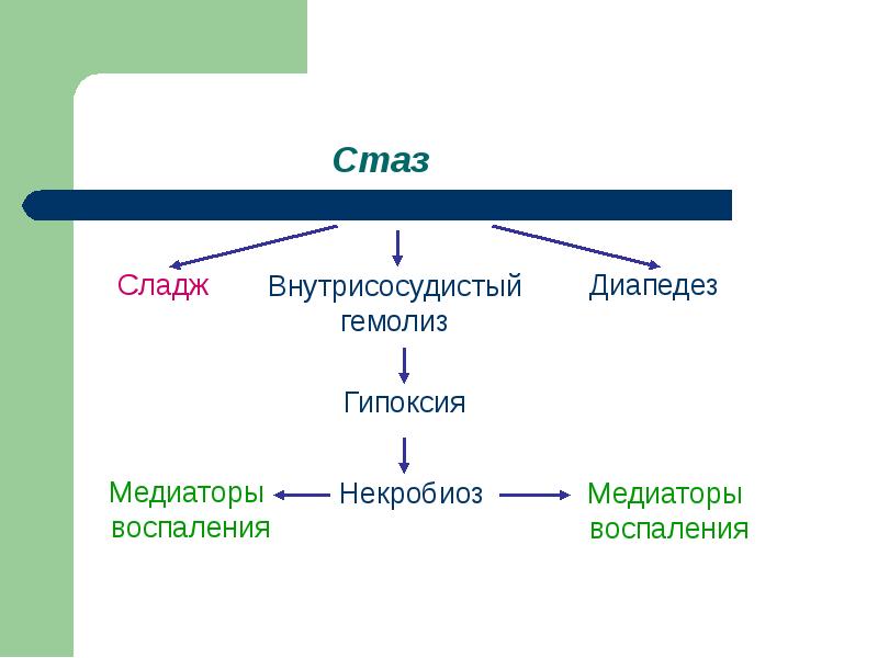 Стаз это