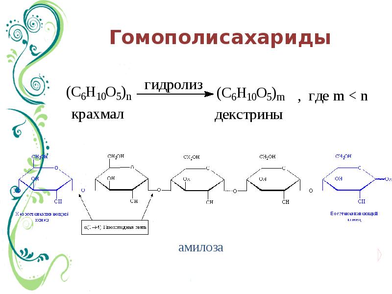 Схема гидролиза полисахаридов