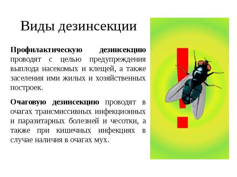 Дезинфекция дезинсекция дератизация презентация