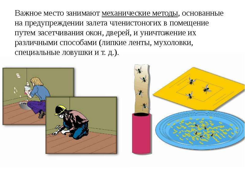 Дезинфекция дезинсекция дератизация презентация