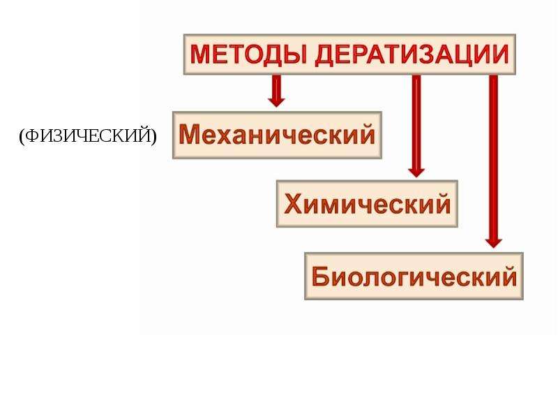 Дезинфекция дезинсекция дератизация презентация