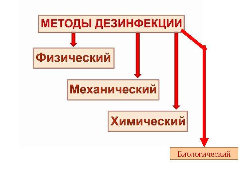 Дезинфекция дезинсекция дератизация презентация