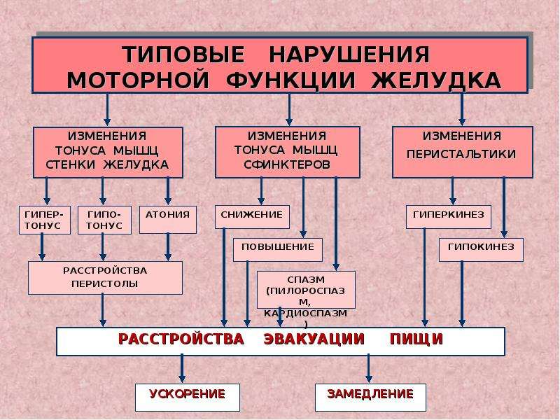 Патофизиология жкт презентация