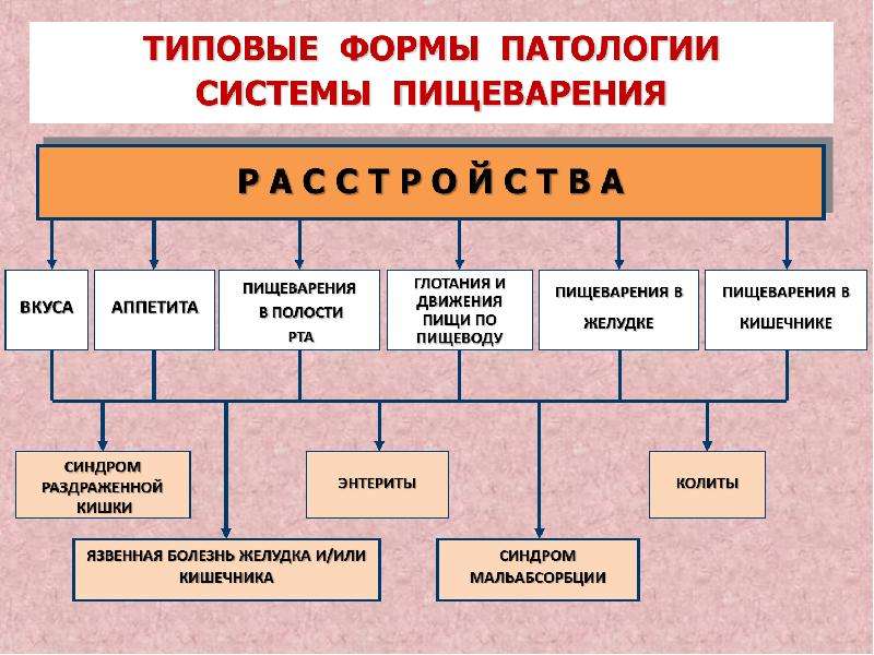 Патофизиология жкт презентация