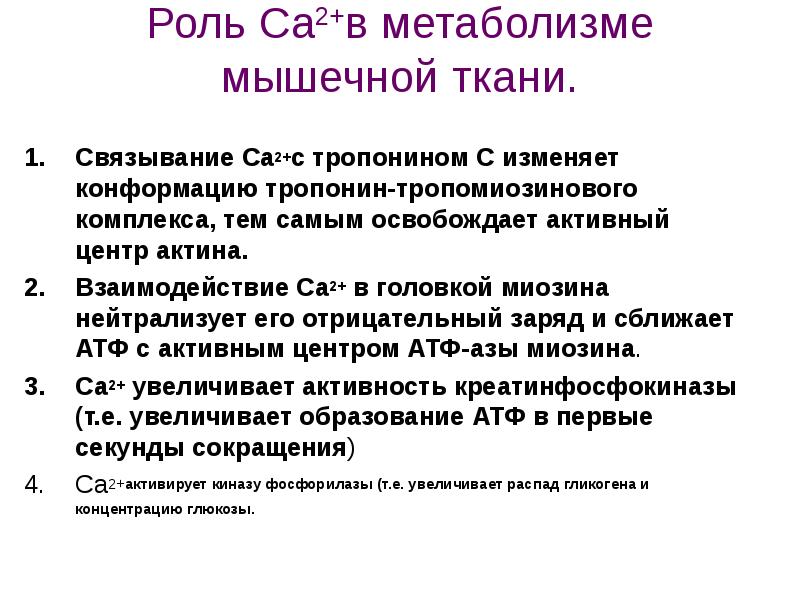 Энергетический обмен в мышечной. Особенности энергетического обмена в мышечной ткани биохимия. Биохимия мышечной ткани презентация. Энергетический обмен в мышцах биохимия. Особенности энергетического обмена в мышцах.