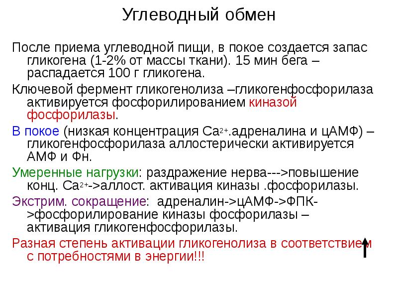 После обмена. Запас гликогена. Основной обмен после приема белковой пищи. Основной обмен после приема углеводной пищи. Обмена углеводов в мышечной ткани.