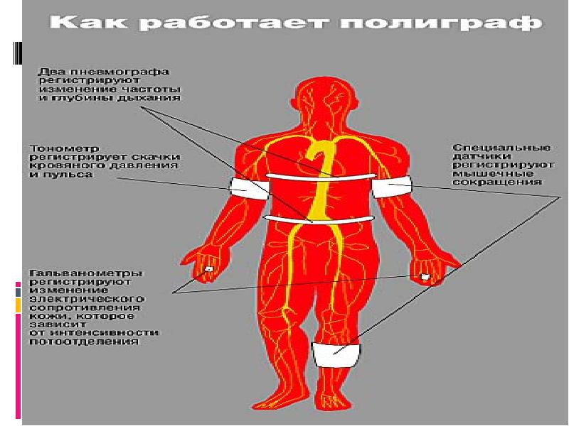 Презентация на тему полиграф