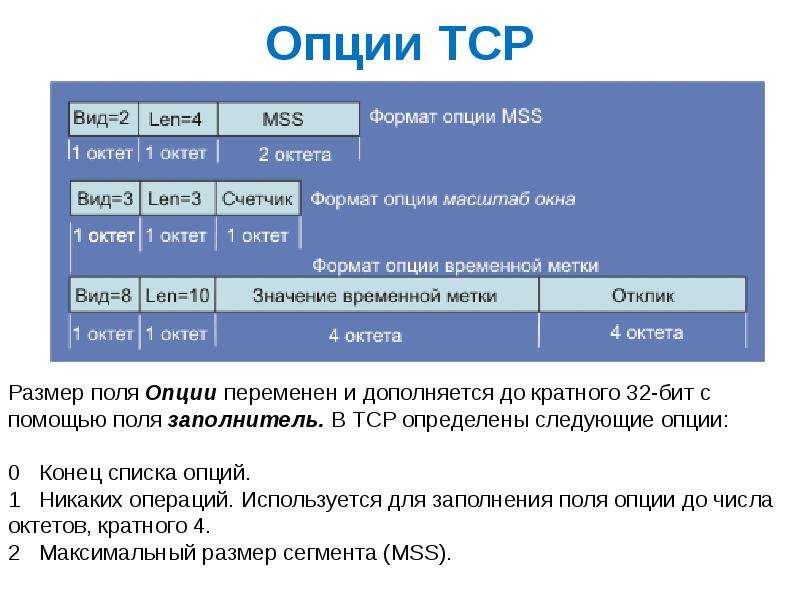 Опция. Опции TCP. Опции. Список опций. Длина полей TCP.