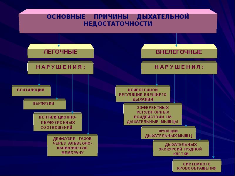 Патофизиология дыхания презентация