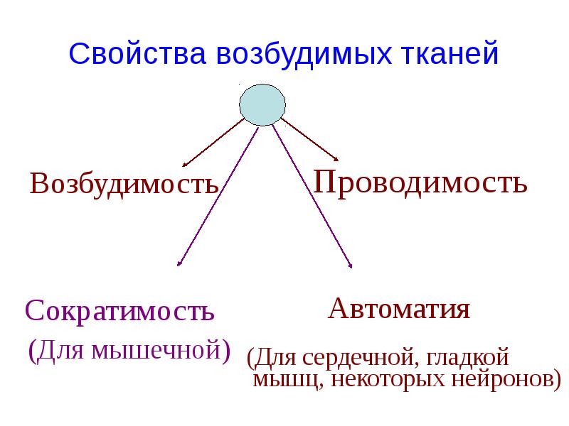 Возбудимость тканей. Свойства возбудимых тканей. Свойства возбудимых тканей физиология Общие и частные. Возбудимые ткани, их физиологические свойства.. Общие свойства возбудимых тканей физиология.