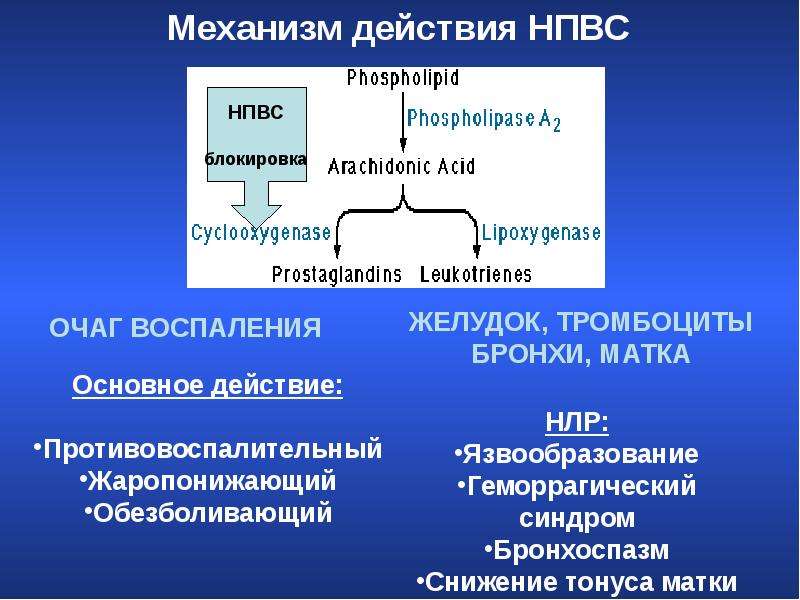 Механизм действия воспаления. Механизм противовоспалительного действия НПВС. Механизм действия нестероидных противовоспалительных средств. Механизм действия НПВП схема. Противовоспалительные препараты механизм действия.