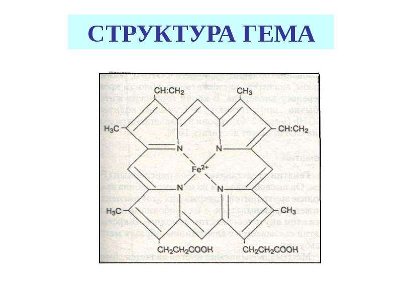 Структура е. Структура гема. Структура гема биохимия. Гем строение. Строение гема.