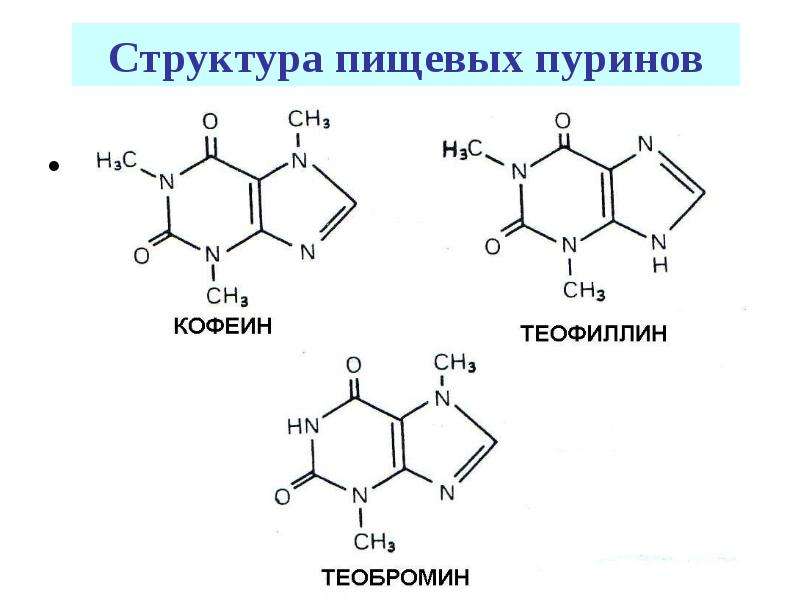 Реклама пурины