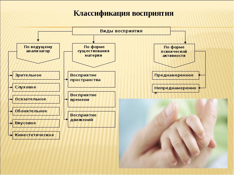 Специальный вид восприятия. Классификация восприятия в психологии.