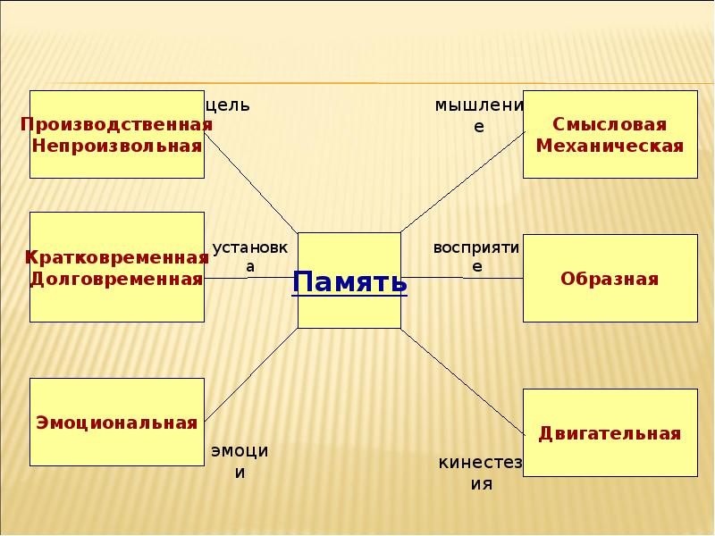 Внимание мышление речь