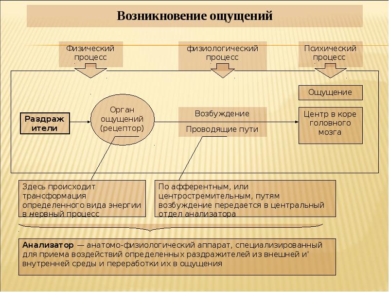 Возникало чувство. Процесс возникновения ощущений. Возникновение ощущений схема. Механизм возникновения ощущений. Этапы возникновения ощущения.