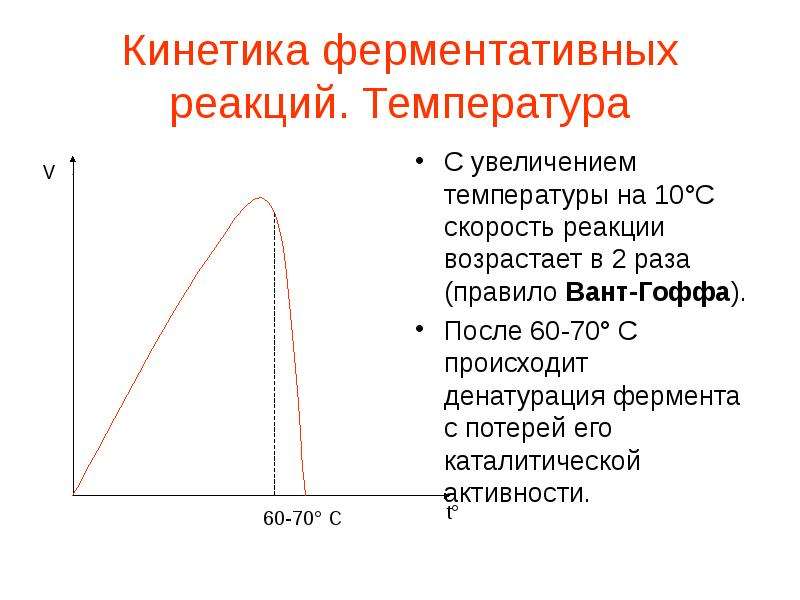 Презентация кинетика ферментативных реакций