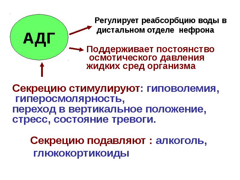 Биология 8 класс презентация нейрогуморальная регуляция