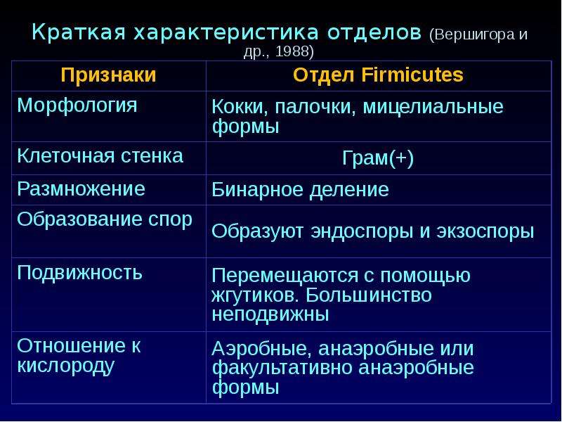 Признаки отдела. Фирмикуты это в микробиологии. Отдел firmicutes. Отдел firmicutes представители. Отдел фирмикутес бактерии.