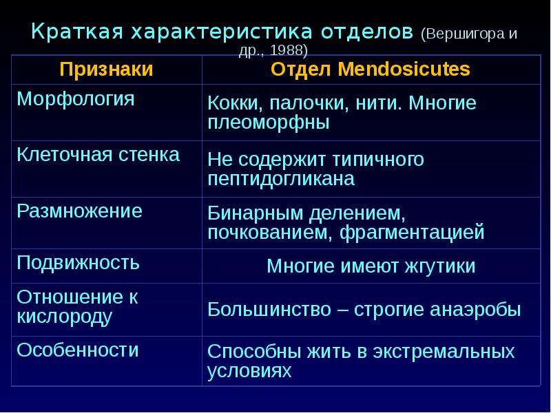 Признаки отдела. Мендозикуты. Мендозикуты клеточная. Мендозикуты представители. Царство бактерий Мендозикуты.