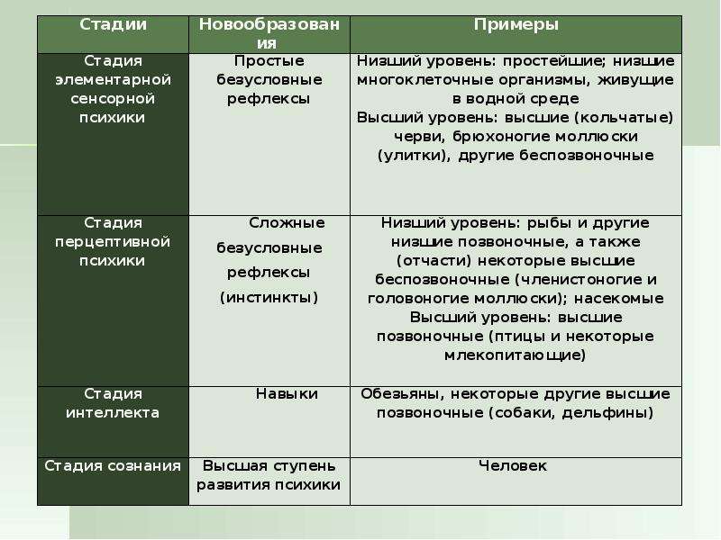 Этапы интеллекта. Элементарная сенсорная психика таблица. Этапы развития психики стадия элементарной сенсорной психики. Стадия элементарной сенсорной психики животных. Схема стадии элементарной сенсорной психики.