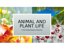 Animal and Plant Life