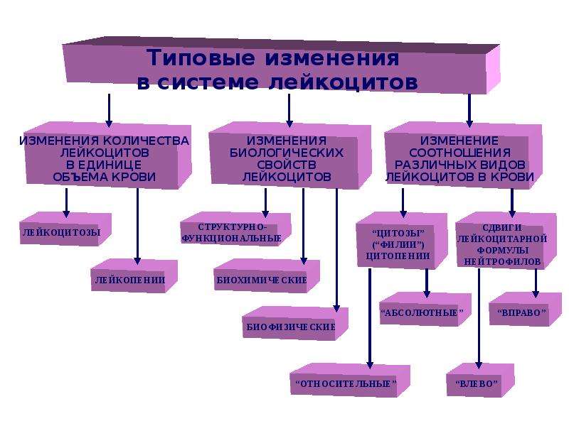 Патология белой крови патофизиология презентация