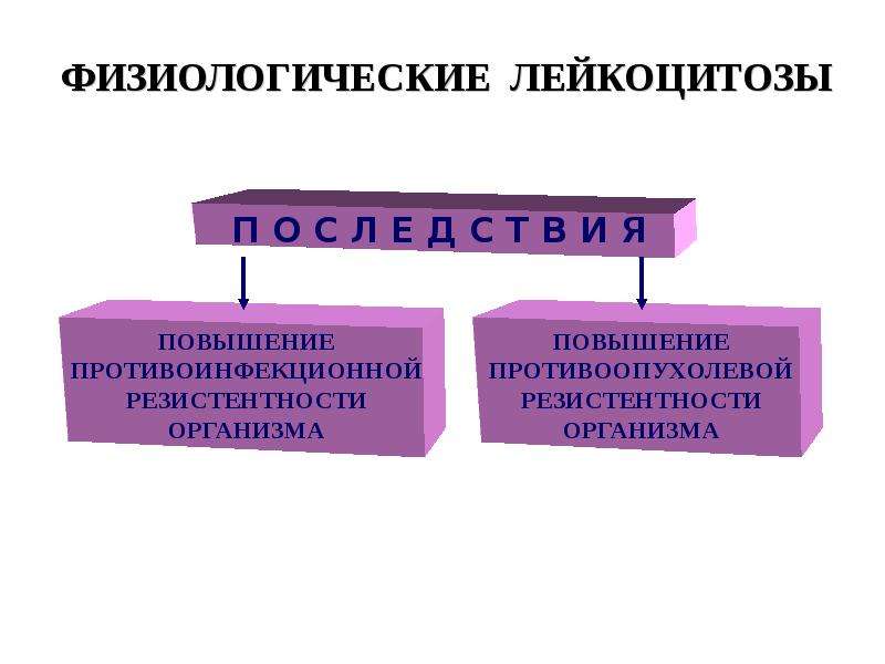 Патология белой крови патофизиология презентация