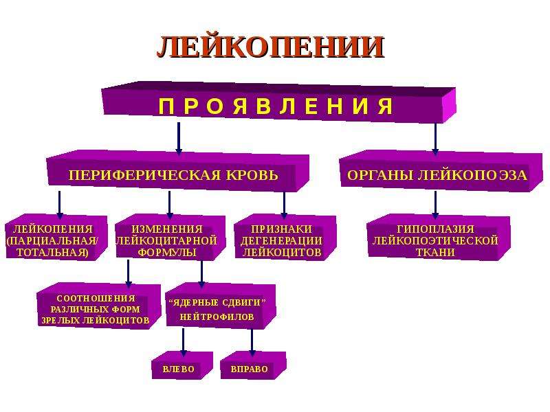 Механизм развития лейкопении