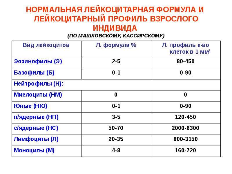 Патология белой крови патофизиология презентация