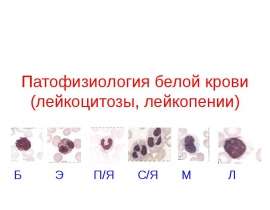 Патофизиология белой крови (лейкоцитозы, лейкопении