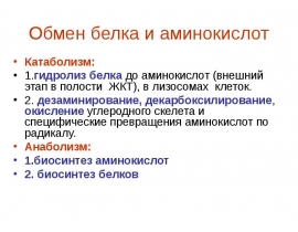 Обмен белка и аминокислот