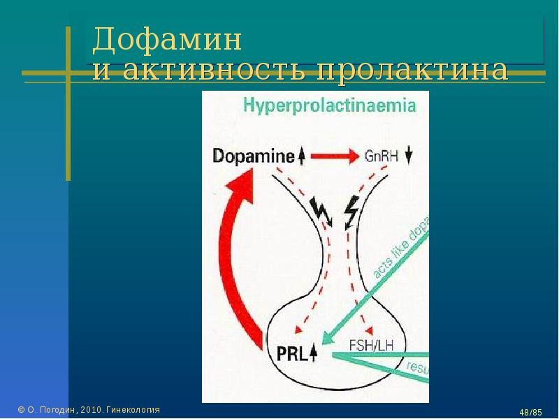 Пролактин связанный. Дофамин и пролактин. Дофамин и пролактин связь. Синтез пролактина. Взаимосвязь пролактина и дофамина.