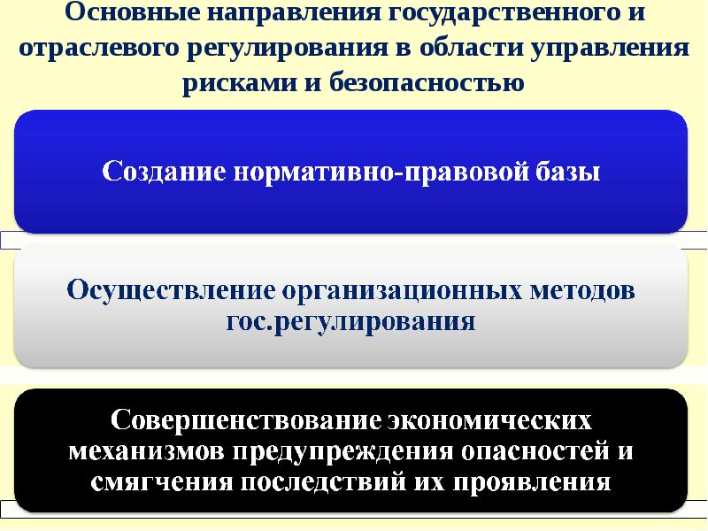 Основные направления государственного регулирования. Направления государственного управления. Направления государственного регулирования рисками. Основные направления безопасности жизнедеятельности.