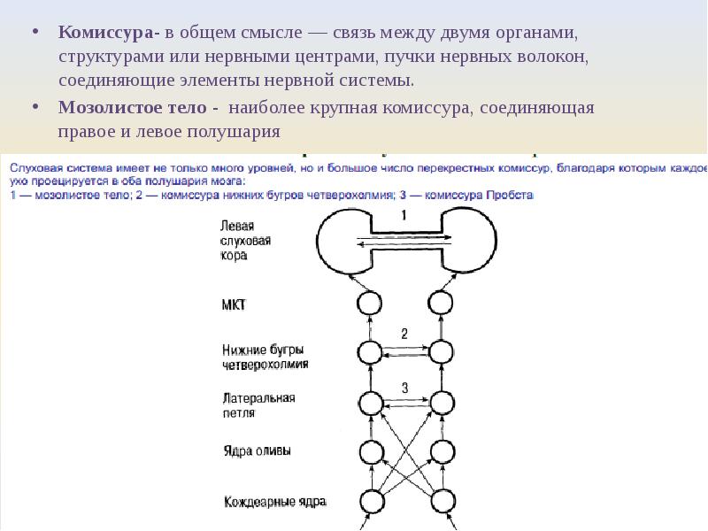 Презентация гностические слуховые расстройства