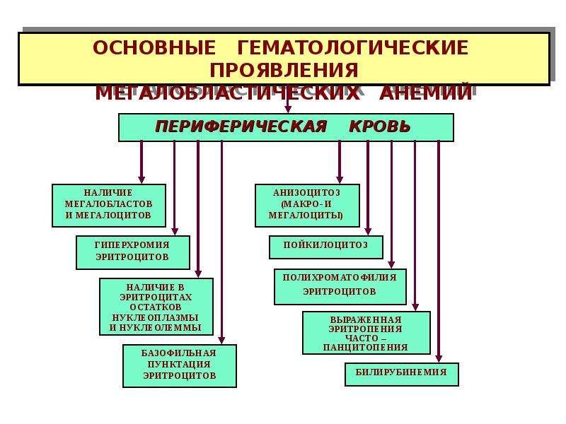 Патофизиология системы крови презентация