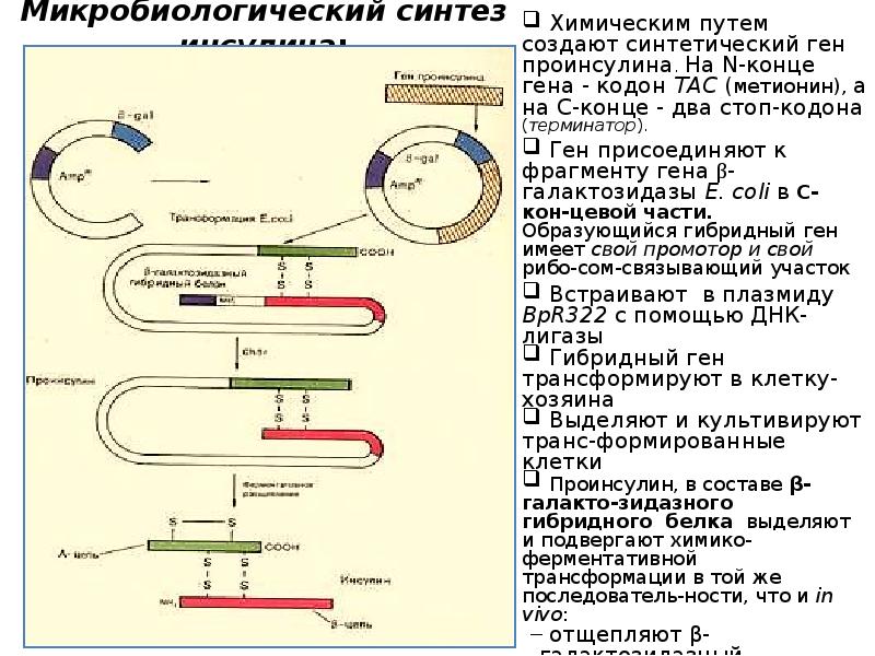 Химический путь