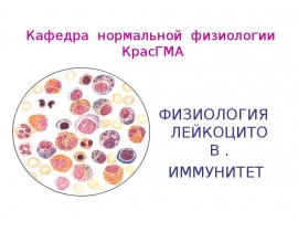 Лейкоциты
