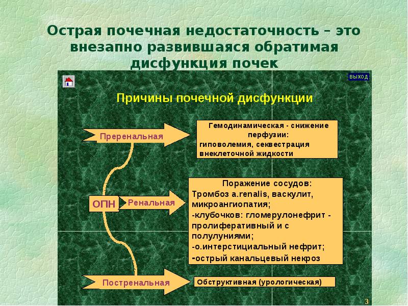 Блок схема механизмы нарушения функций почек