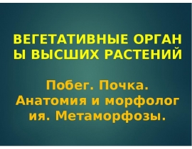 Побег. Почка. Анатомия и морфология. Метаморфозы.
