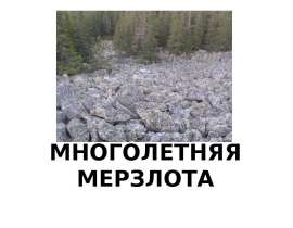 Многолетняя мерзлота